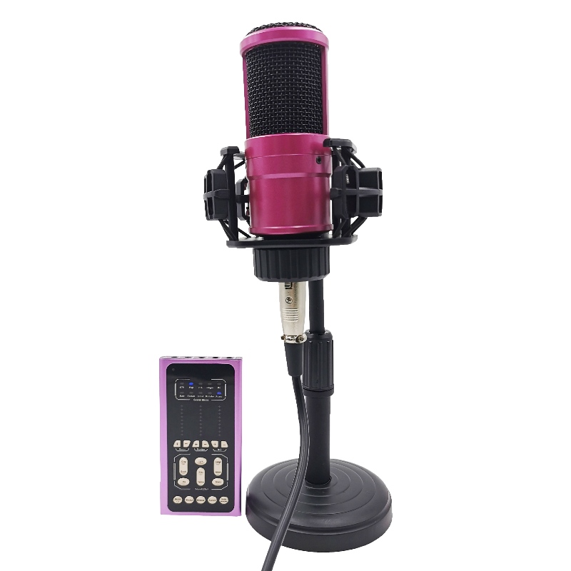 FB-LSC500 Super Slim Size Multifunktionell Voice Changer Live Sound Card och Microphone Set